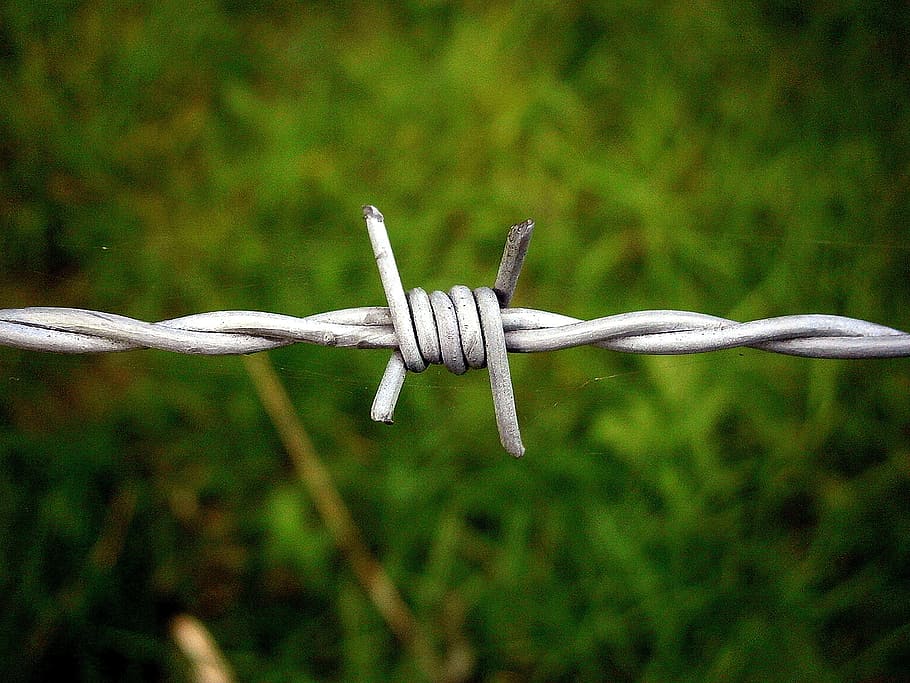 barbed wire, security, risk, defense, metal, close, fence, no people HD wallpaper