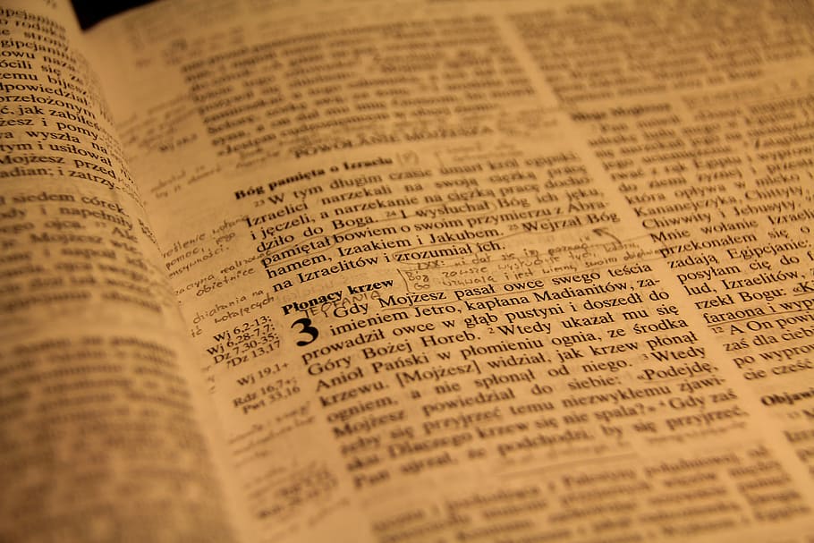 Writing, Scriptures, Lectio Divina, the scriptures, paper, history HD wallpaper