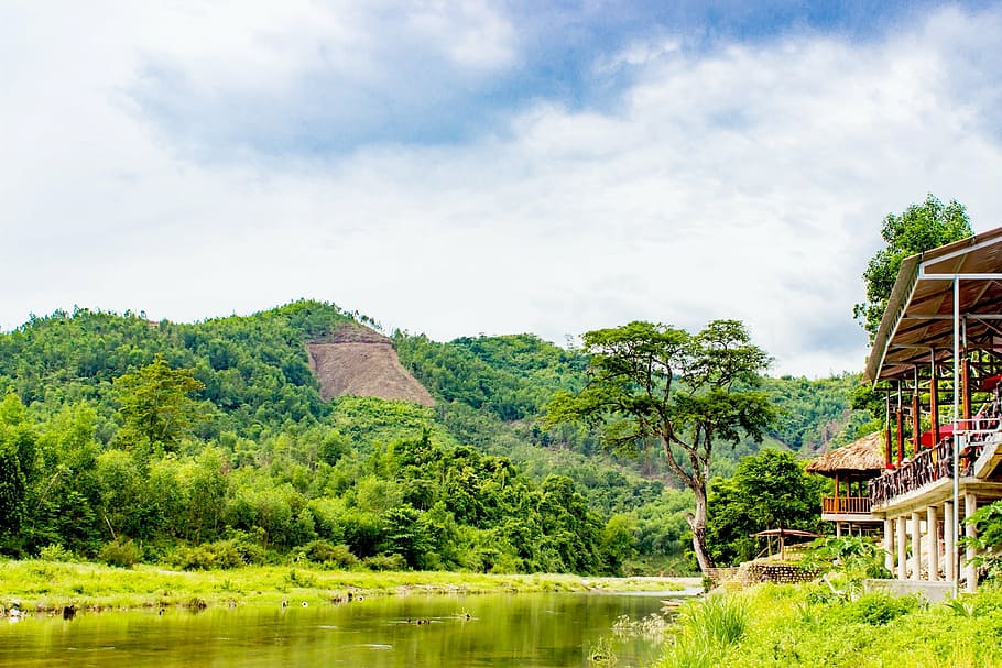 mountain, forest, independence, bay, write, male, nature, asia HD wallpaper