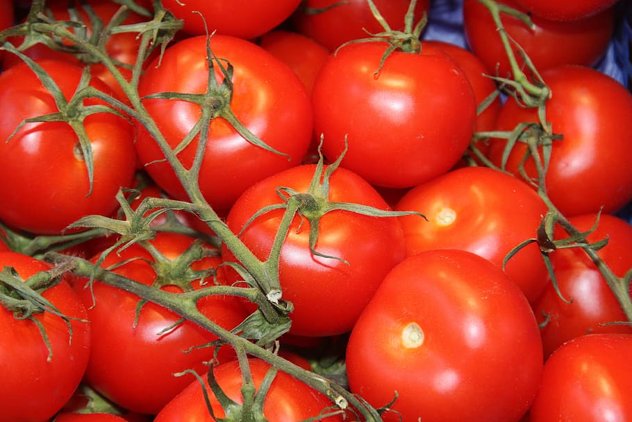 tomatoes, vegetables, datailaufnahme, food and drink, red, healthy eating HD wallpaper