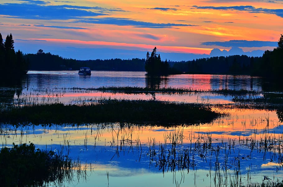 silhouette of grass and trees on body of water under golden hour HD wallpaper