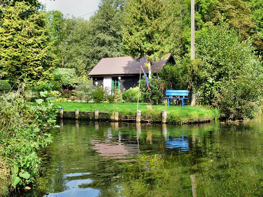 spreewald, depth, water, boot, nature, landscape, river, rowing HD wallpaper