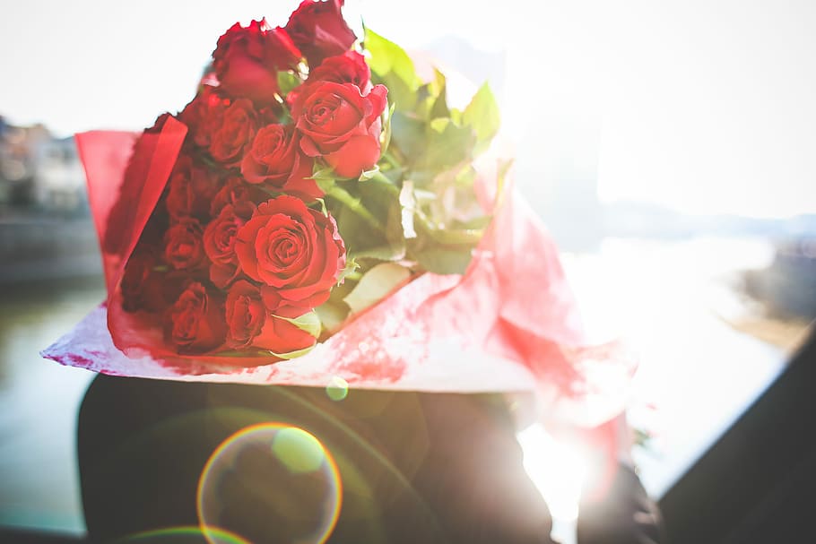 Bouquet of Roses in Sunbeams, flowers, gentleman, love, saint valentine, HD wallpaper