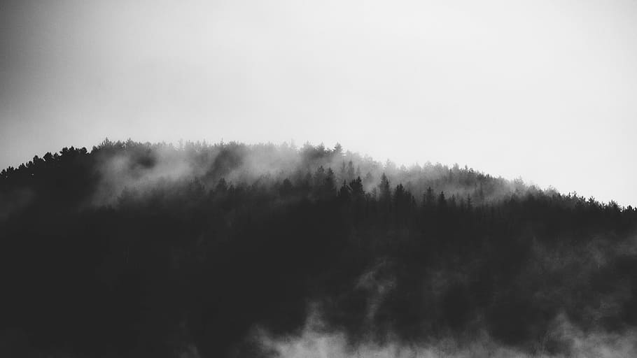 HD wallpaper: grayscale photography of trees covered mountain, smoke ...