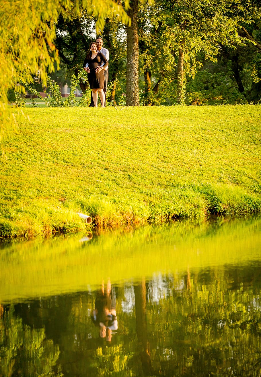 water, edge, lake, animal, plant, animal themes, one animal HD wallpaper