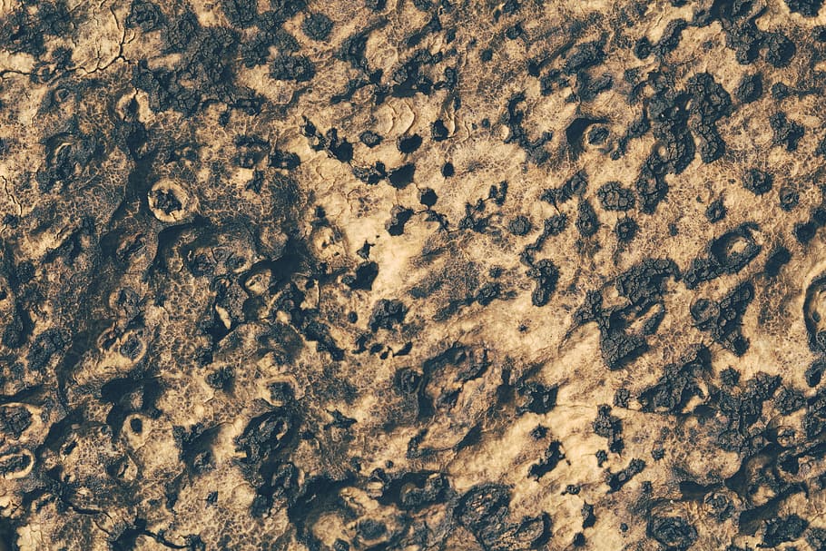 brown ground, cork, texture, abstract, macro, closeup, full frame HD wallpaper