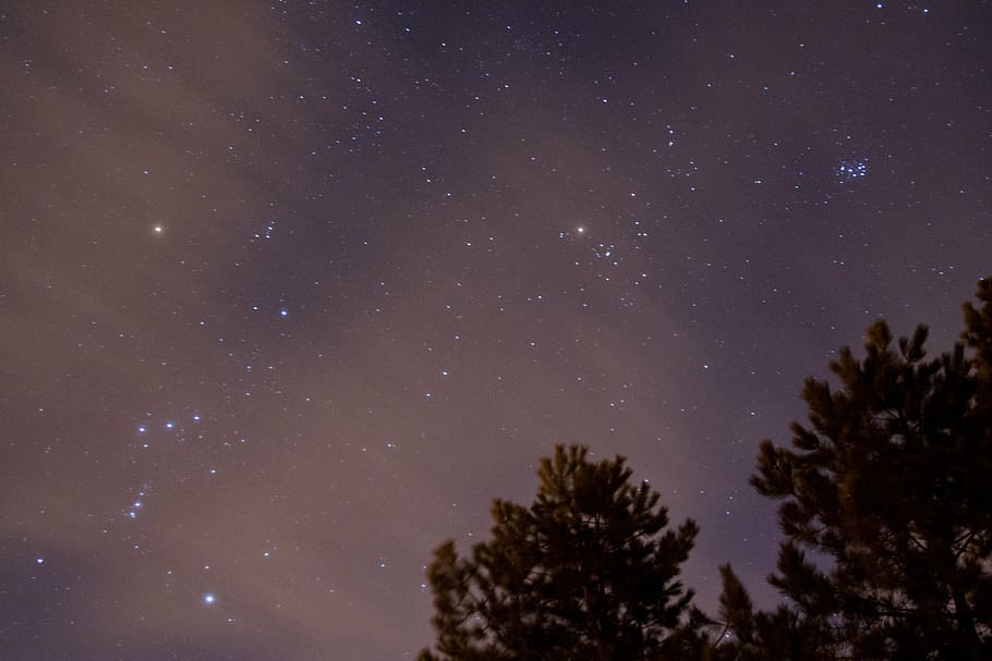 trees under starry sky, milky, way, photography, stars, night HD wallpaper