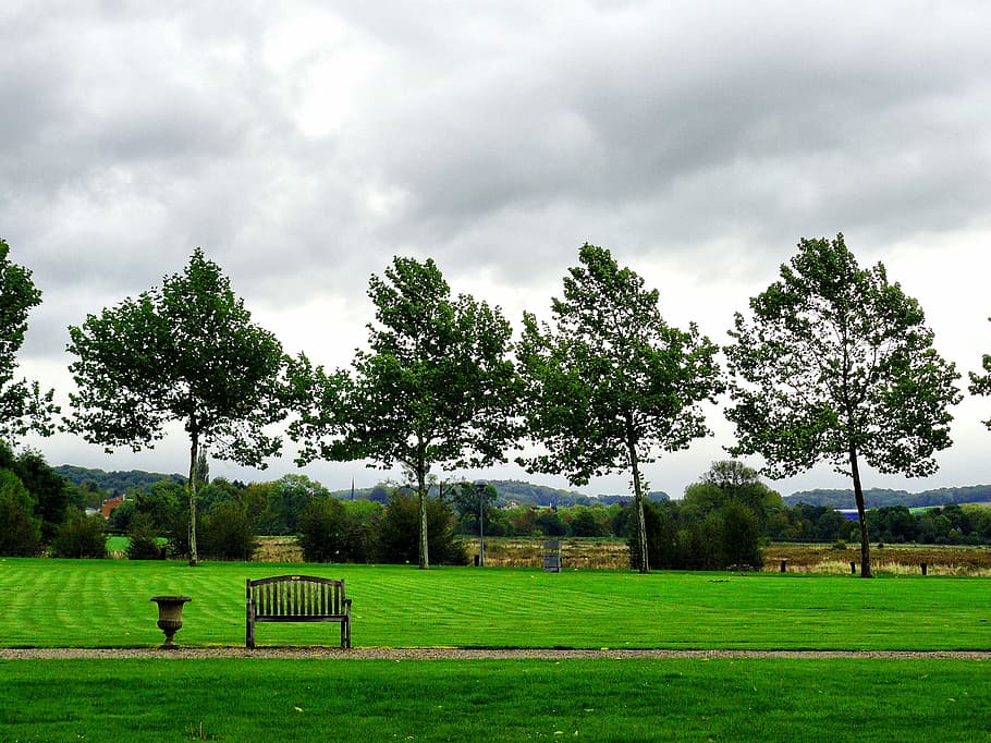 Trees, Nature, Plants, Green, Park, saint gerlach, maastricht HD wallpaper