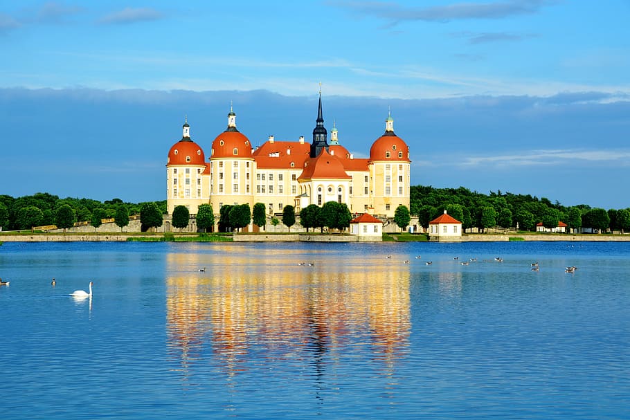 castle, moritz castle, old, water, lake, pond, swan, duck, sunset HD wallpaper