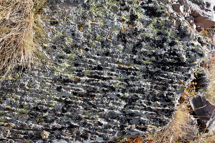 kennedy, stone, texture, composition, macro, nature, the stones are HD wallpaper