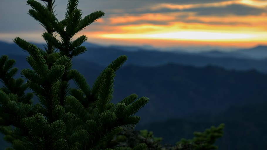 clouds, dawn, dusk, evening, landscape, light, morning, mountains HD wallpaper
