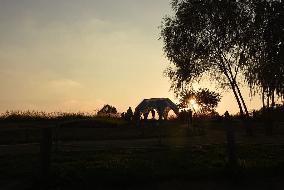 silhouette, sunset, sky, plant, tree, architecture, built structure HD wallpaper