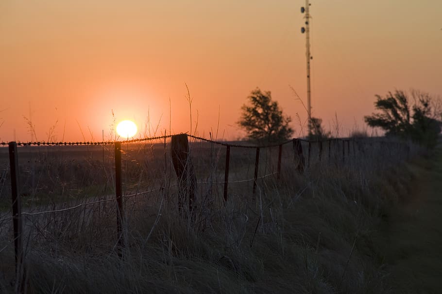 sunset, field, nature, sky, fence, barrier, boundary, orange color HD wallpaper