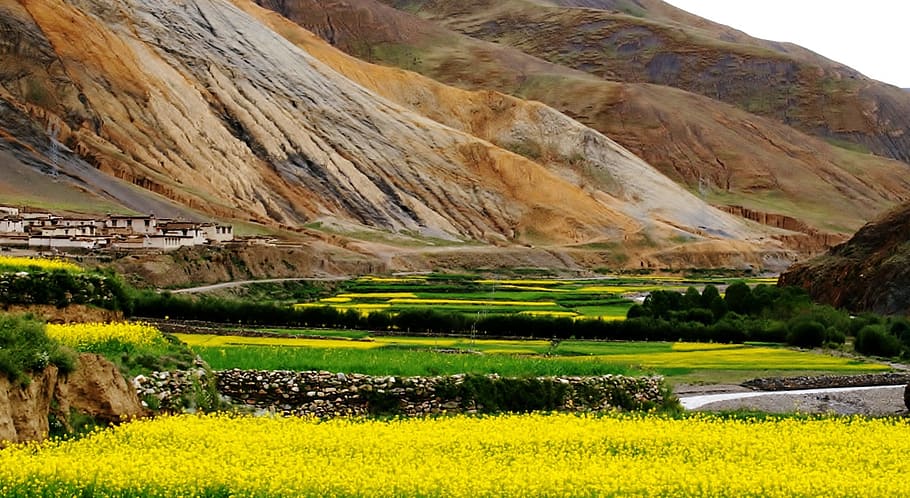 Mountain, Tibet, cuture, nature, landscape, rural Scene, scenics HD wallpaper