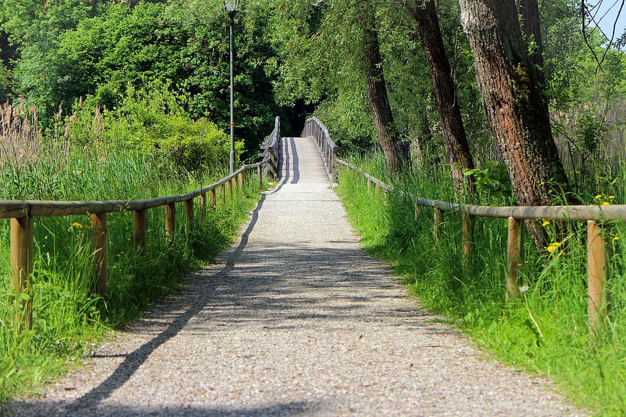 walk, away, bridge, transition, wood, wooden bridge, nature HD wallpaper