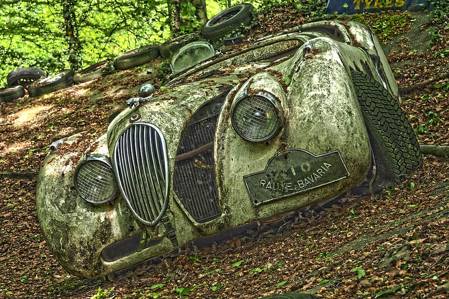 classic gray vehicle on green leaf plant, auto, car cemetery