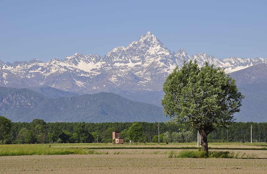 monviso, plain, alps, landscape, mountain, tree, plant, mountain range HD wallpaper