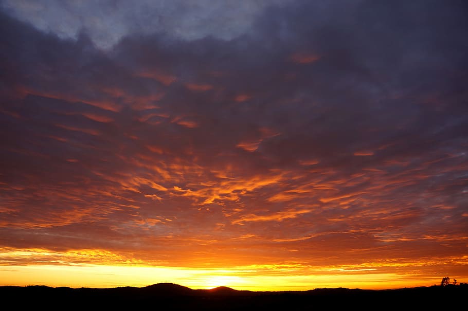 Sunset, Orange, Nature, Sky, sunlight, yellow, red, horizon HD wallpaper