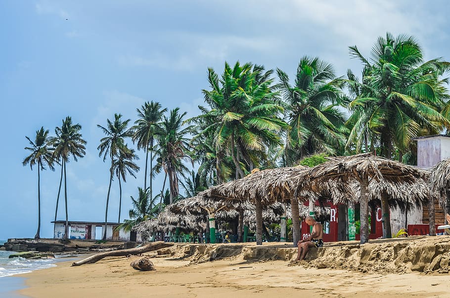 person sitting under brown huts near seashore at daytime, person sitting under nipa hut HD wallpaper