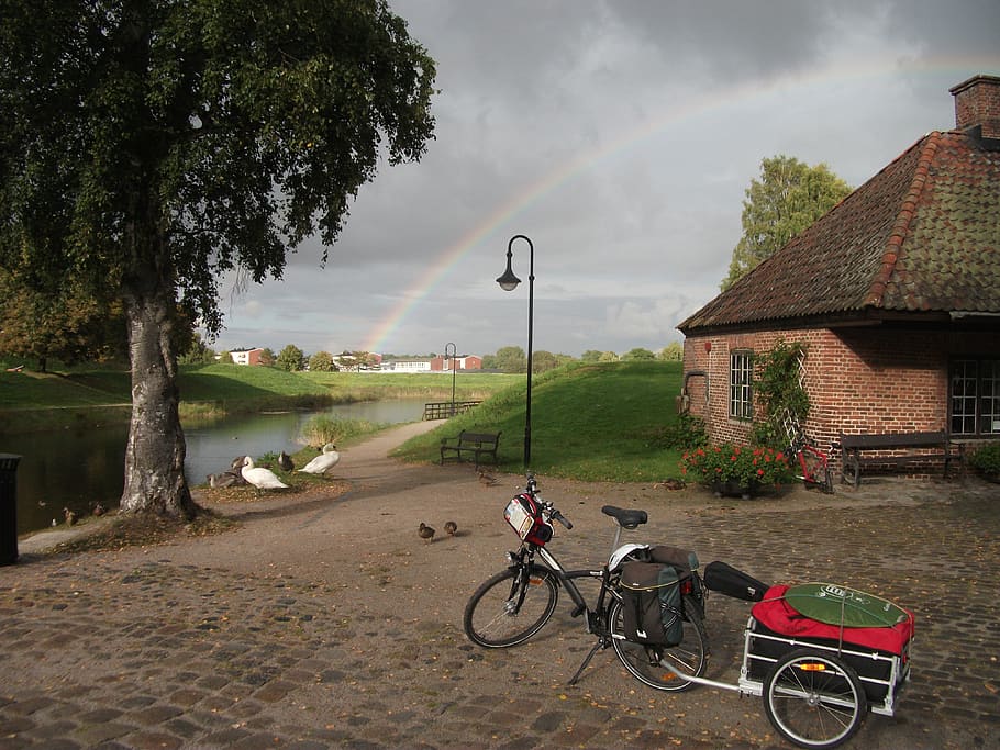 bike, arc, sky, bicycle, transportation, tree, land vehicle HD wallpaper