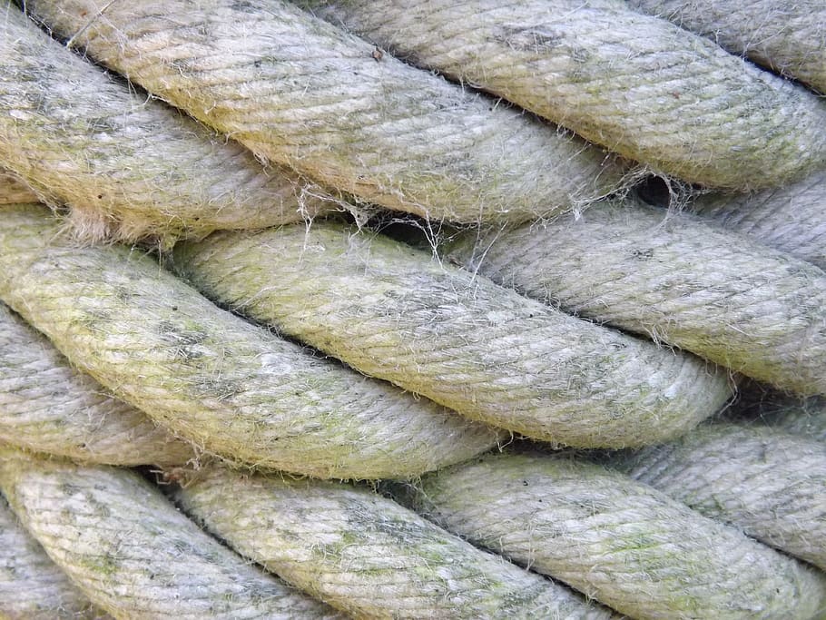 macro, photography, rope, full frame, backgrounds, freshness HD wallpaper