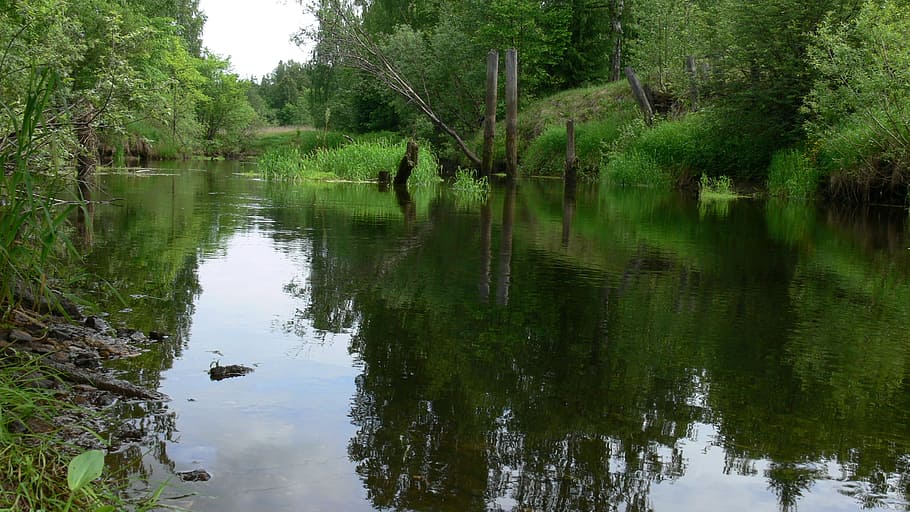river, forest, water, nature, landscape, summer, russia, trees HD wallpaper