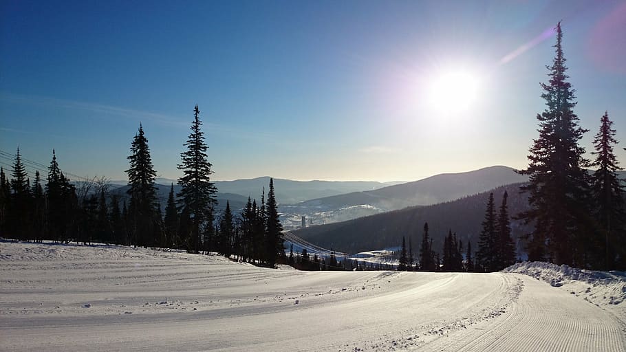 sheregesh, mountains, winter, snow, cold temperature, sky, tree HD wallpaper