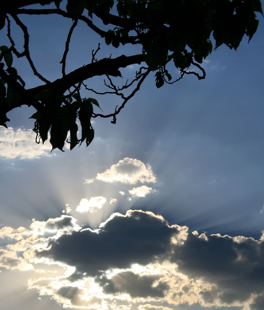 clouds, dark, edging, bright, shiny, light rays, radiating HD wallpaper