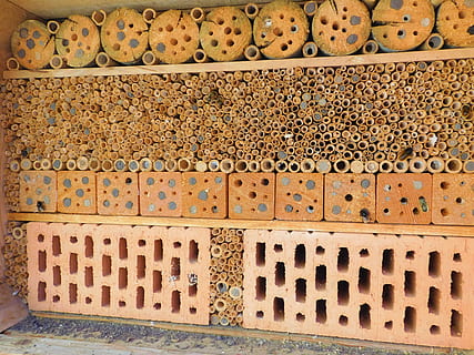 background, pattern, ornament, old, wall, bee, bee hotel, solitary bee HD wallpaper