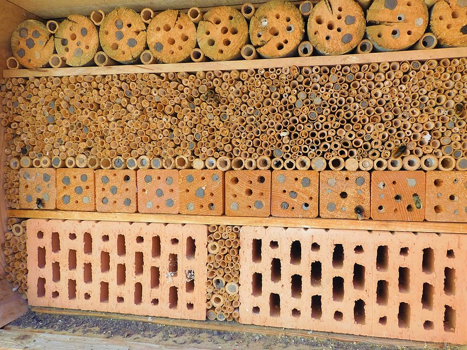 background, pattern, ornament, old, wall, bee, bee hotel, solitary bee HD wallpaper