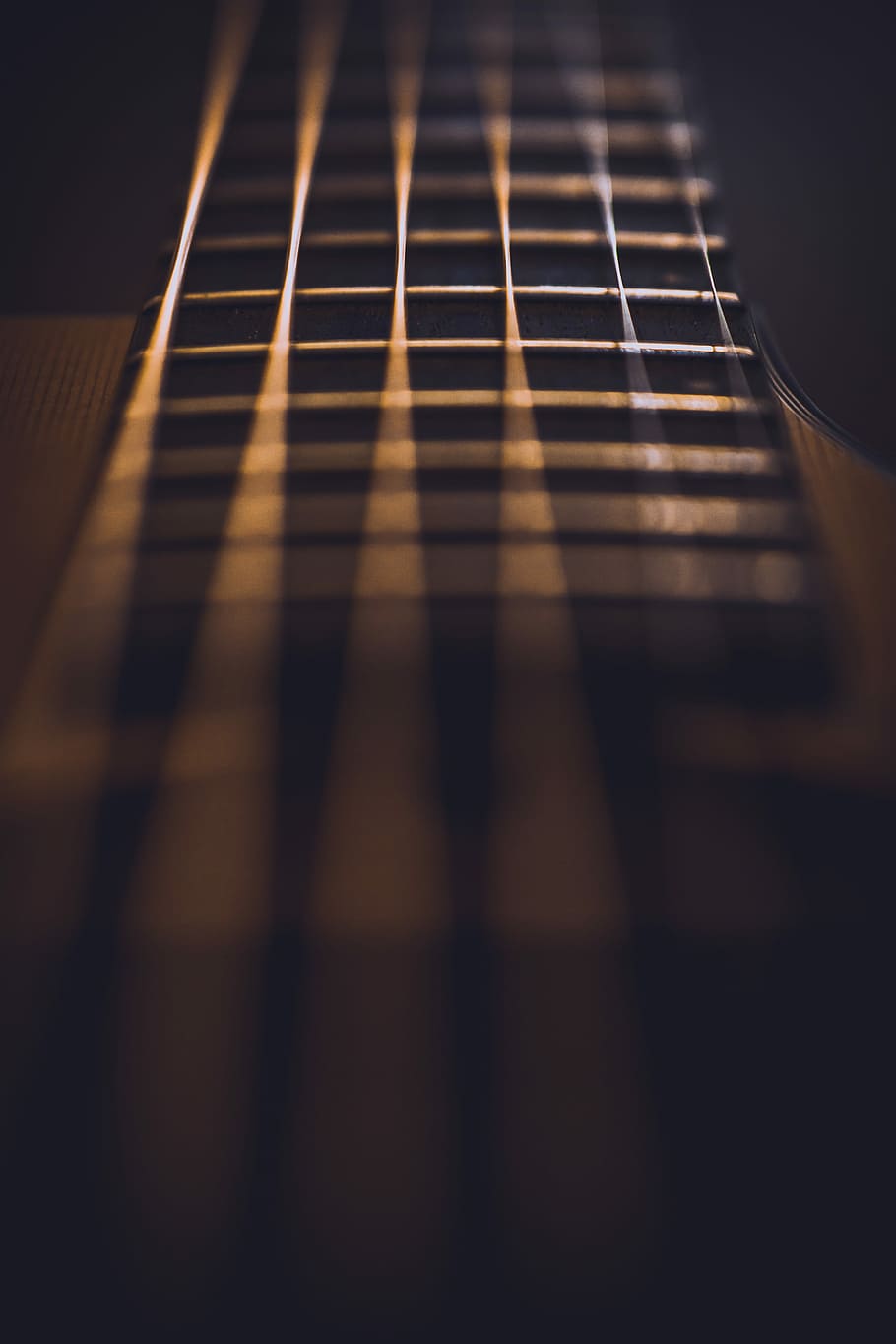close-up photo of guitar strings, black and orange grilled, fret HD wallpaper