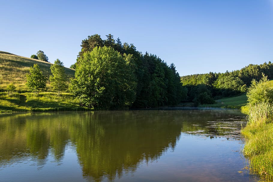 pond, field, water, forest, nature, landscape, agriculture HD wallpaper