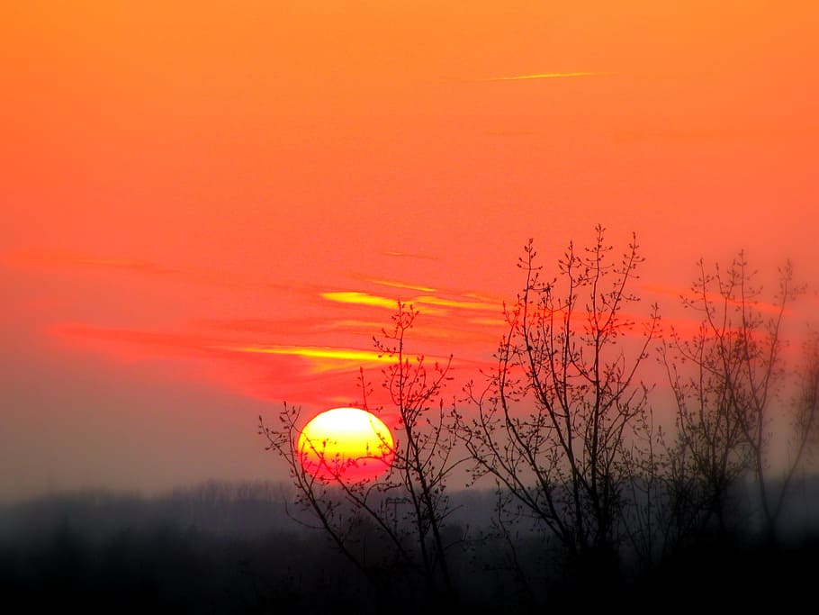 Sunset, Evening, Sky, evening sky, orange color, red, fog, no people HD wallpaper