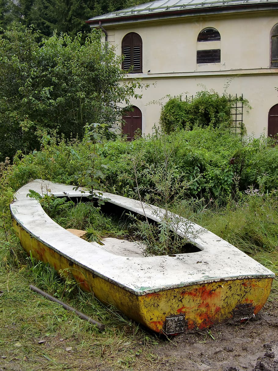 boot, ruin, abandoned, stranded, wild, dry, plant, tree, day HD wallpaper