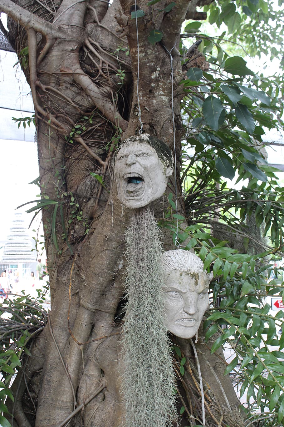 mask, tree, abstract, plant, tree trunk, art and craft, day HD wallpaper
