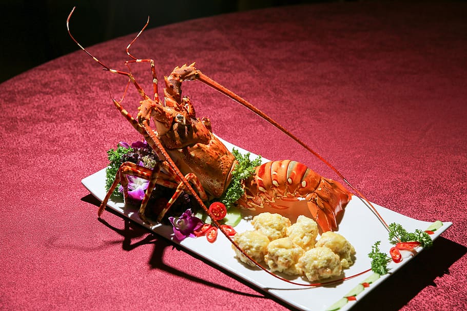 the dish, seafood, food and drink, crustacean, freshness, healthy eating HD wallpaper