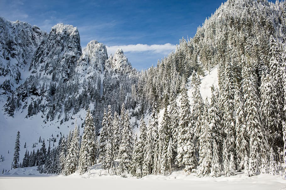 snow covered mountain, winter, white, cold, weather, ice, trees HD wallpaper