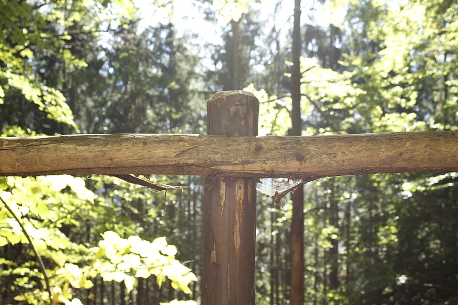 fence, brown, wood, sunlight, rays, hell, nature, landscape HD wallpaper