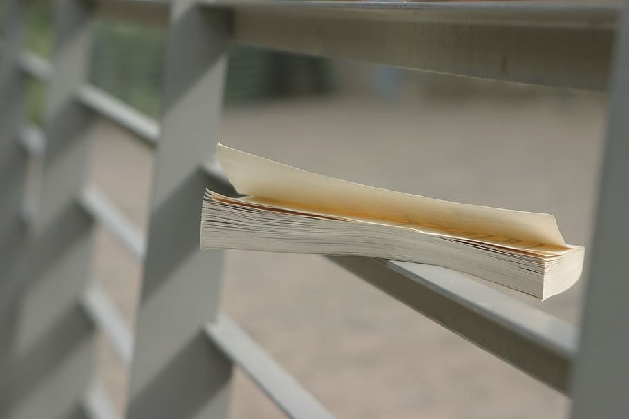 book, perspective, creative, outdoors, leaves, park, read, peaceful HD wallpaper