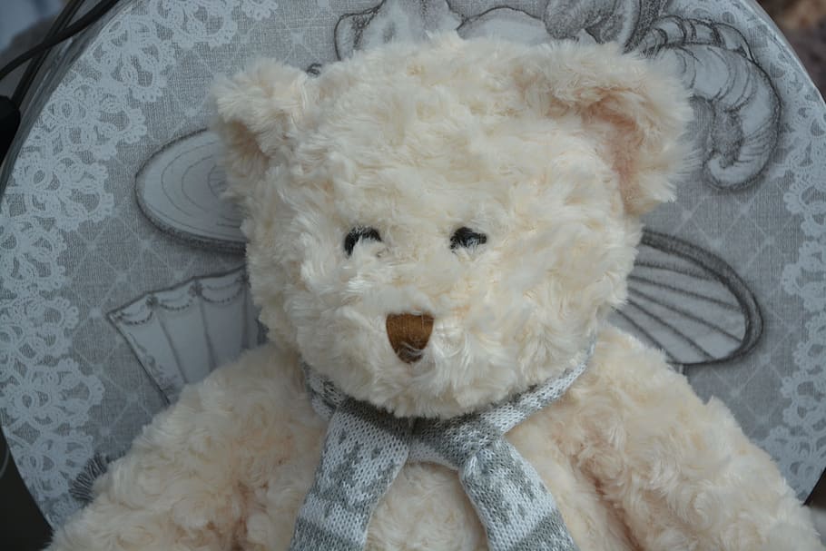 bear plush, doudou, hug, soft, child, sitting, animal representation HD wallpaper