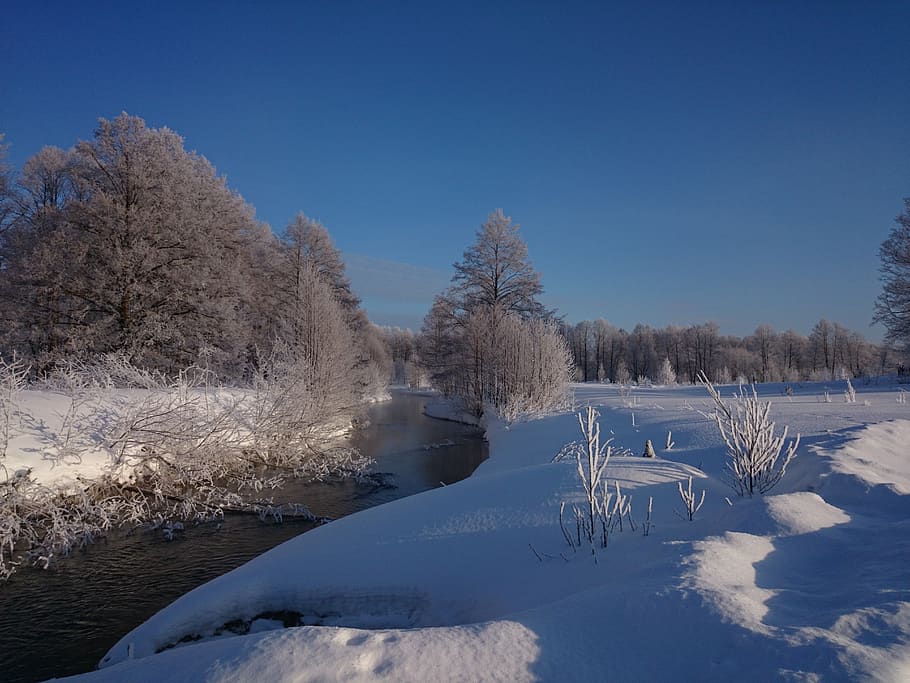 winter, landscape, small river, snow, cold temperature, tree HD wallpaper