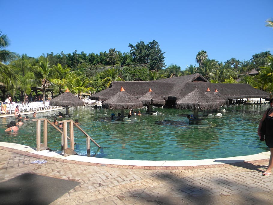 holidays, trip, ride, sol, summer, rest, nature, quiet, brazil HD wallpaper
