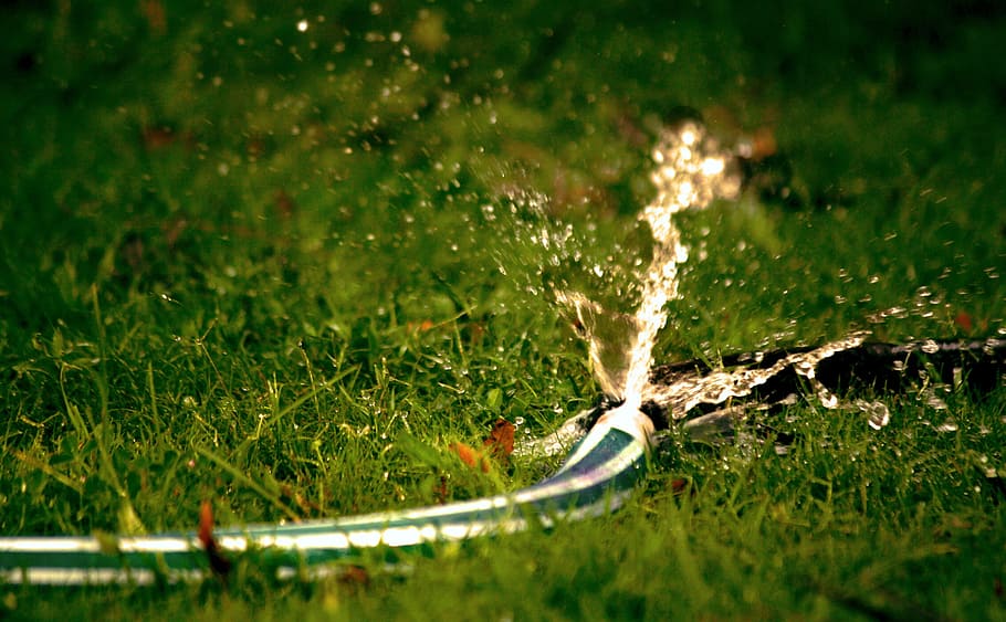 Close-Up Photography of Water Bursting Out of Hose, blur, blurry HD wallpaper