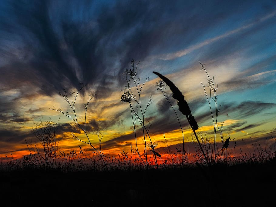 sunset, red, nature, summer, sunrise, light, sunlight, sky HD wallpaper