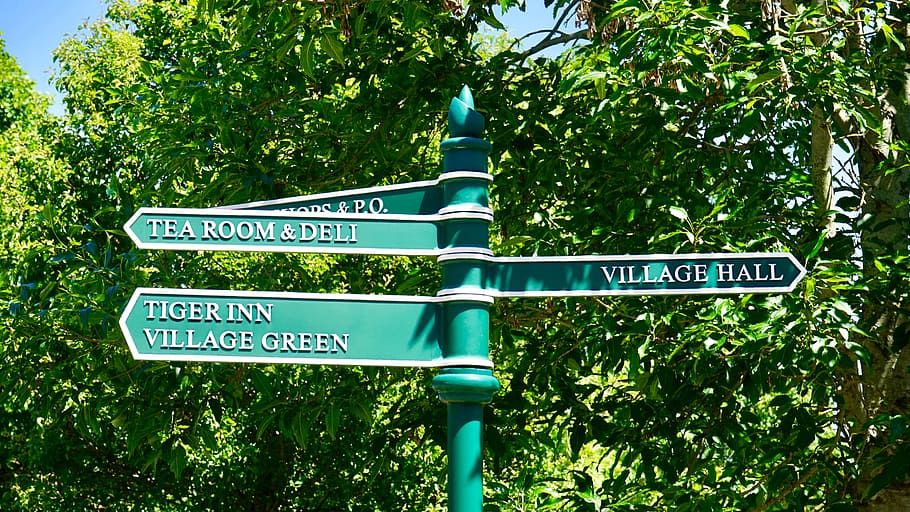 nature, sign, trees, arrow, close-up, direction, environment HD wallpaper