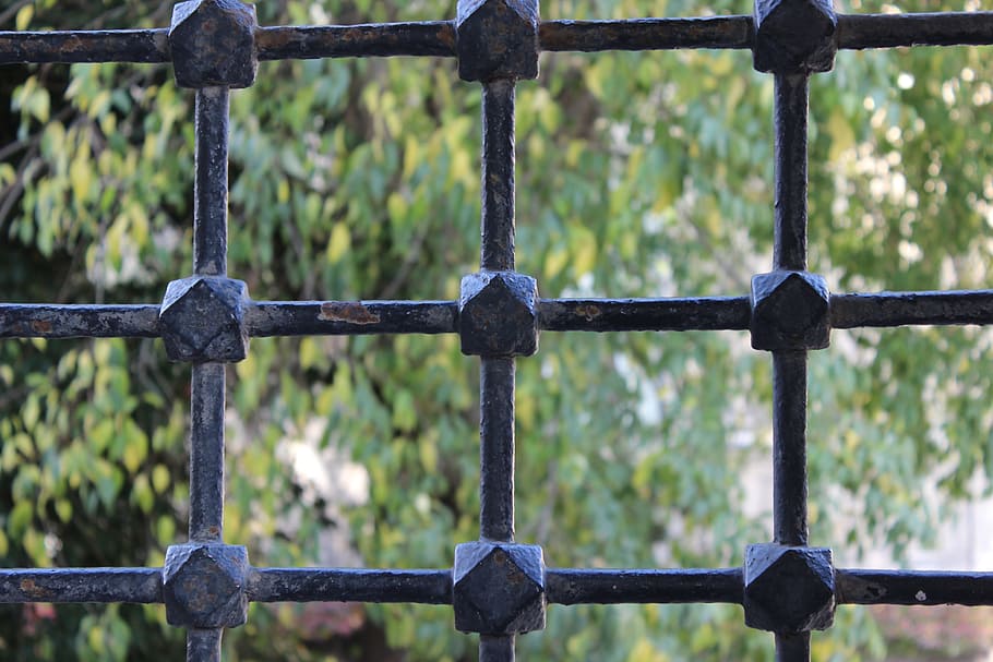 tree, window, mansion, istanbul, turkey, fence, boundary, barrier HD wallpaper