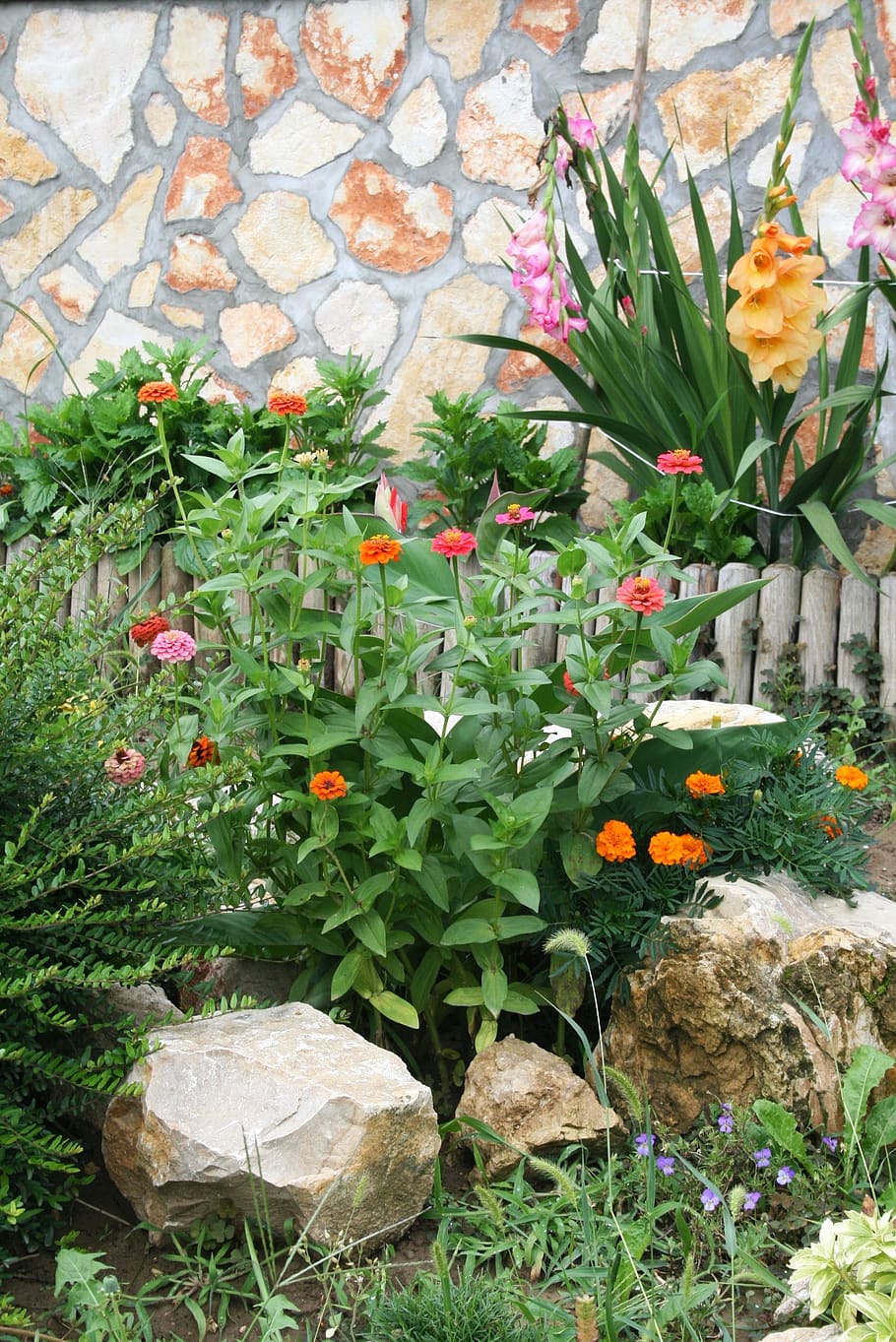 garden, plant, cliff, flower, gardening, summer plants, flowering plant, HD wallpaper