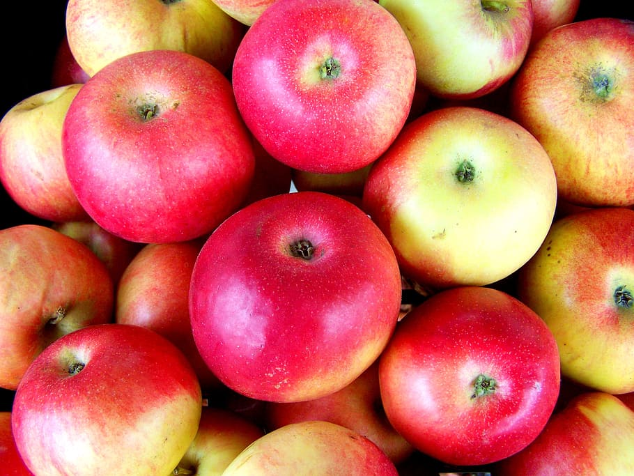 red apple, fruit, food, freshness, organic, ripe, apple - Fruit HD wallpaper