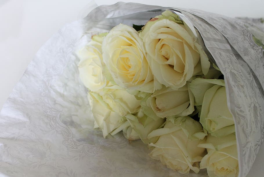 roses, wrapping, white, flowers, bouquet, white flowers, freshness HD wallpaper