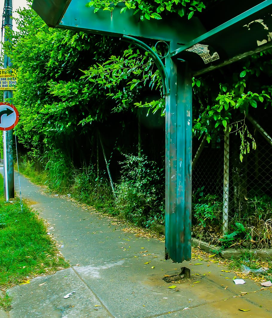 levitate, city, architecture, tree, plant, road, sign, green color HD wallpaper